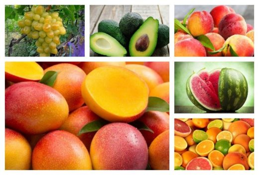 Fruits for potential